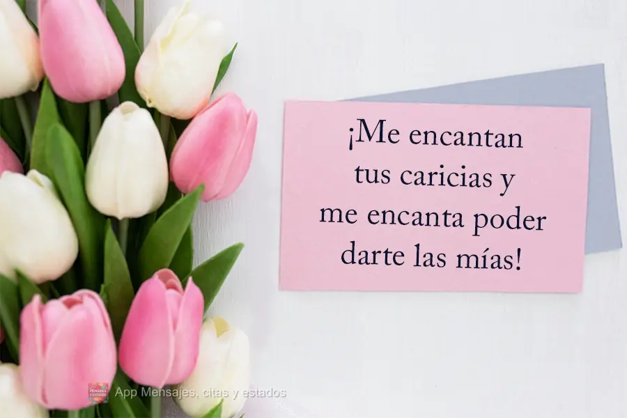 ¡Me encantan tus caricias y me encanta poder darte las mías!