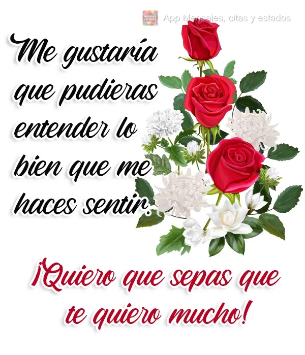 Me gustaría que pudieras entender lo bien que me haces sentir. ¡Quiero que sepas que te quiero mucho!