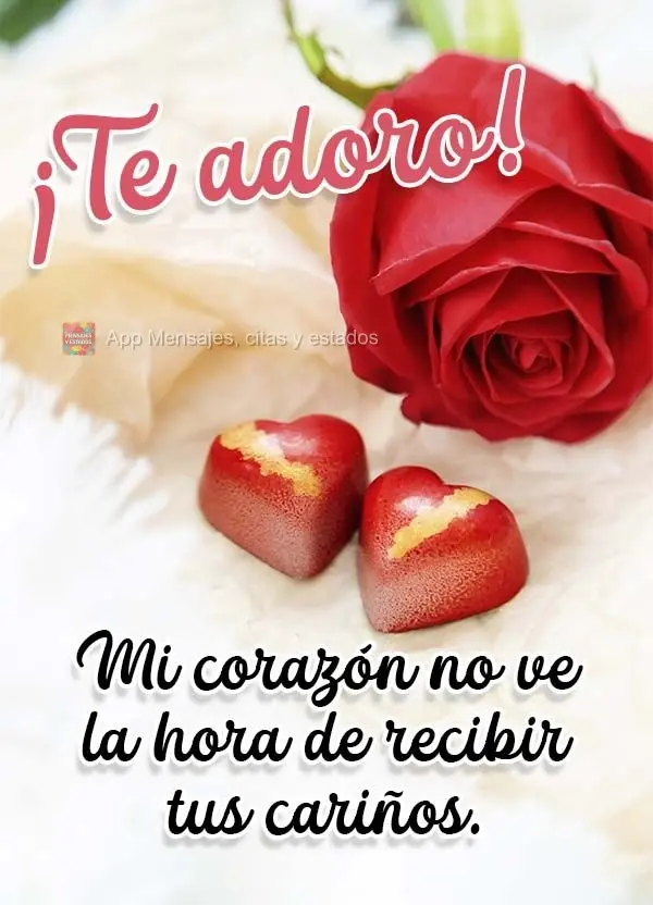 Mi corazón no ve la hora de recibir tus cariños. ¡Te adoro!
