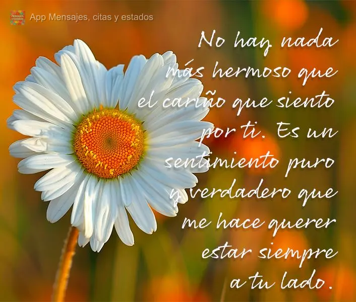 No hay nada más hermoso que el cariño que siento por ti. Es un sentimiento puro y verdadero que me hace querer estar siempre a tu lado.