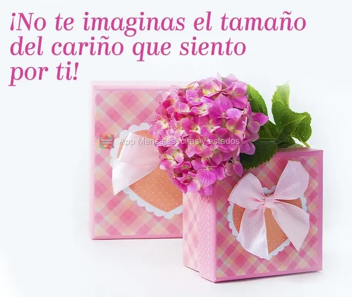 ¡No te imaginas el tamaño del cariño que siento por ti!