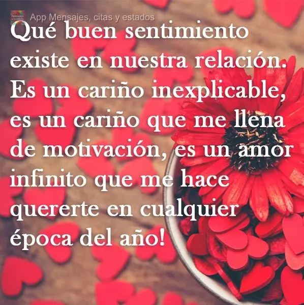 Qué buen sentimiento existe en nuestra relación. Es un cariño inexplicable, es un cariño que me llena de motivación, es un amor infinito que me hace...