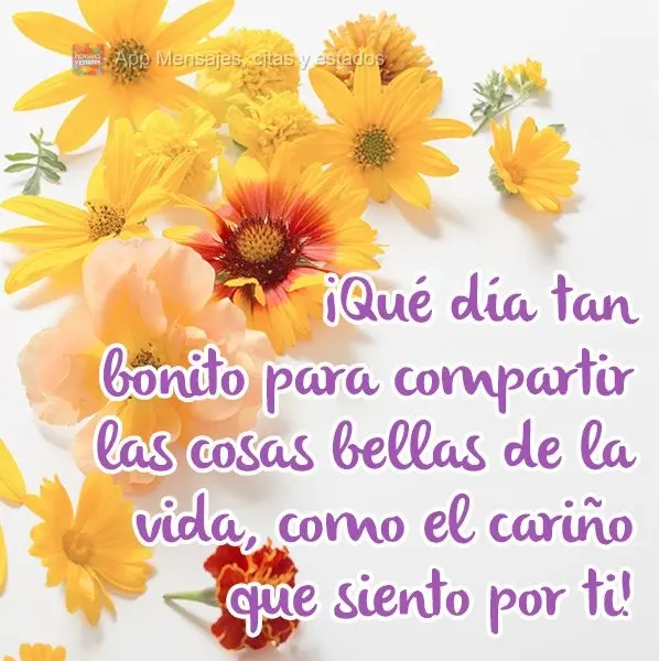 ¡Qué día tan bonito para compartir las cosas bellas de la vida, como el cariño que siento por ti!