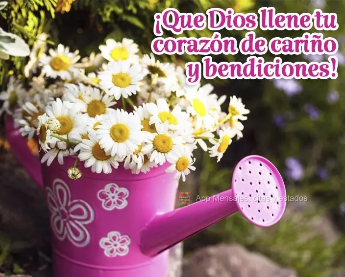 ¡Que Dios llene tu corazón de cariño y bendiciones!