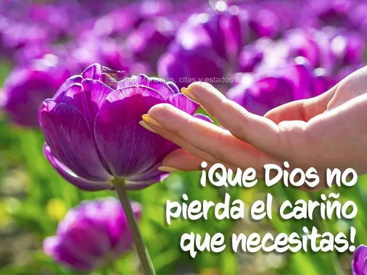 ¡Que Dios no pierda el cariño que necesitas!