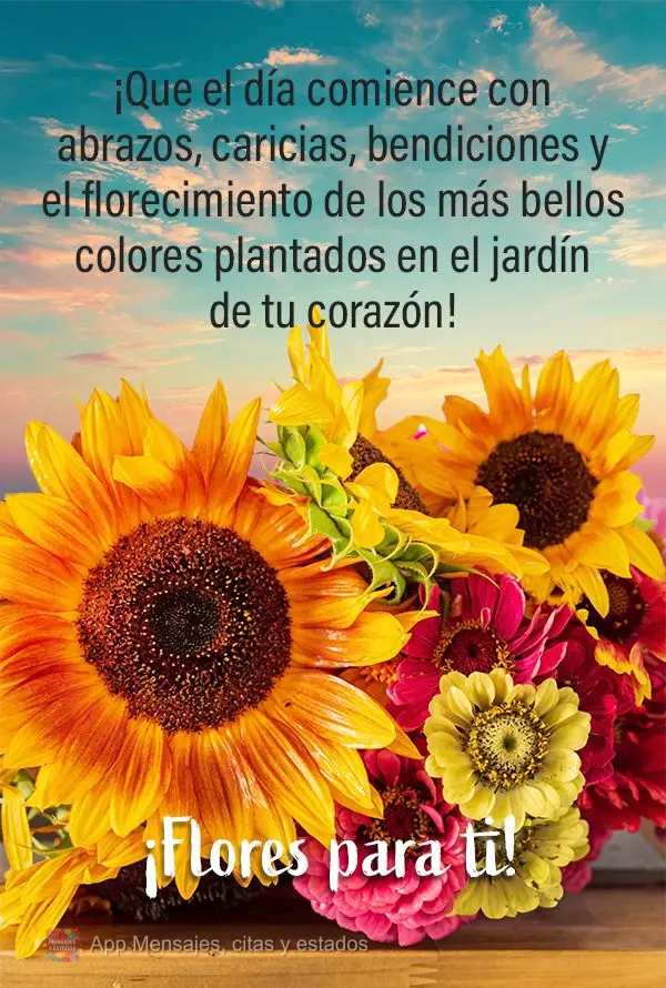 ¡Que el día comience con abrazos, caricias, bendiciones y el florecimiento de los más bellos colores plantados en el jardín de tu corazón! ¡Flores ...