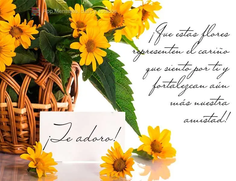 ¡Que estas flores representen el cariño que siento por ti y fortalezcan aún más nuestra amistad! ¡Te adoro!