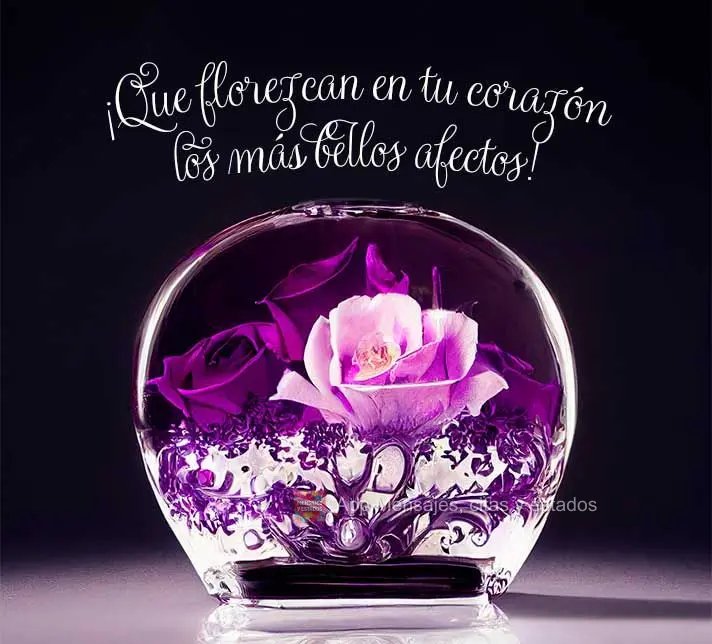 ¡Que florezcan en tu corazón los más bellos afectos!