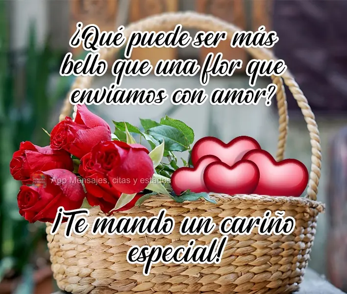 ¿Qué puede ser más bello que una flor que enviamos con amor? ¡Te mando un cariño especial!