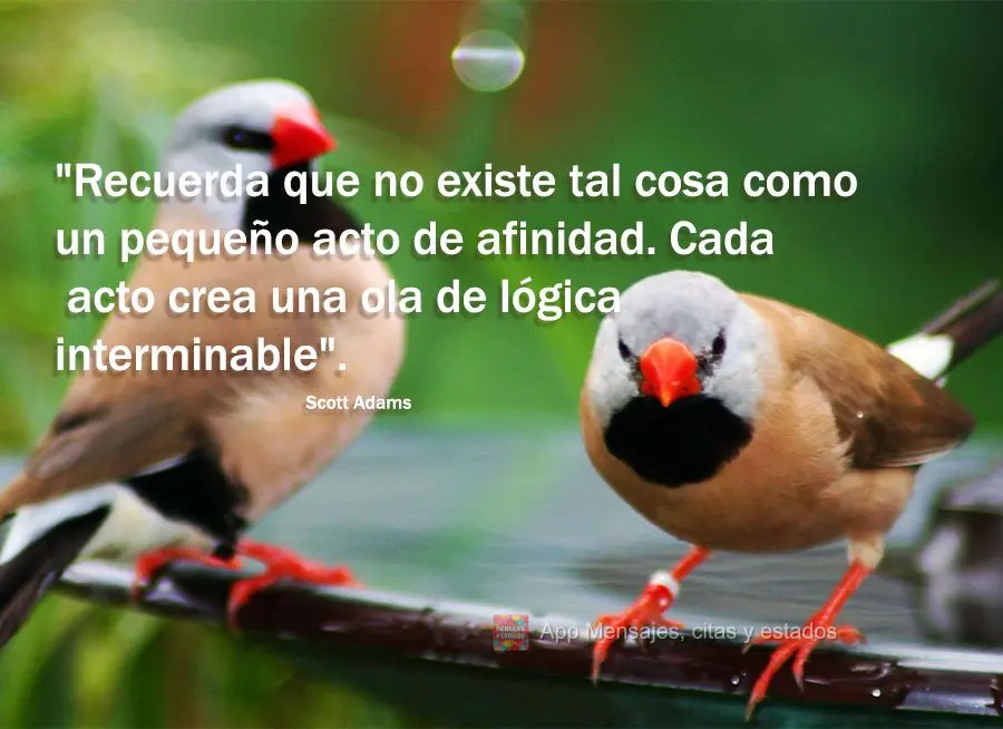 "Recuerda que no existe tal cosa como un pequeño acto de afinidad. Cada acto crea una ola de lógica interminable". Scott Adams