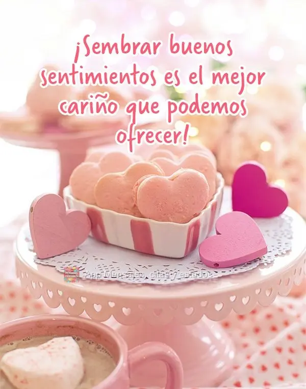 ¡Sembrar buenos sentimientos es el mejor cariño que podemos ofrecer!