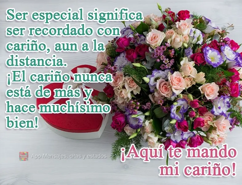 Ser especial significa ser recordado con cariño, aun a la distancia.
¡El cariño nunca está de más y hace muchísimo bien!
¡Aquí te mando mi cari...