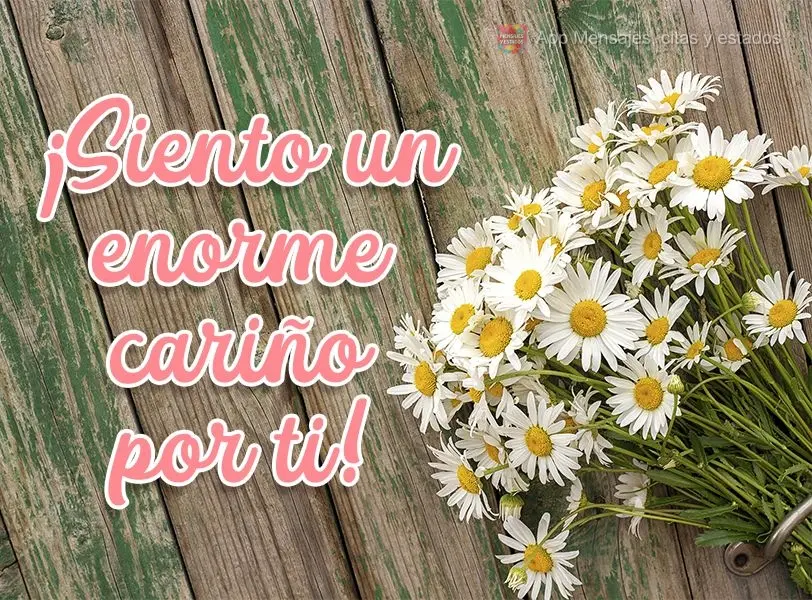 ¡Siento un enorme cariño por ti!