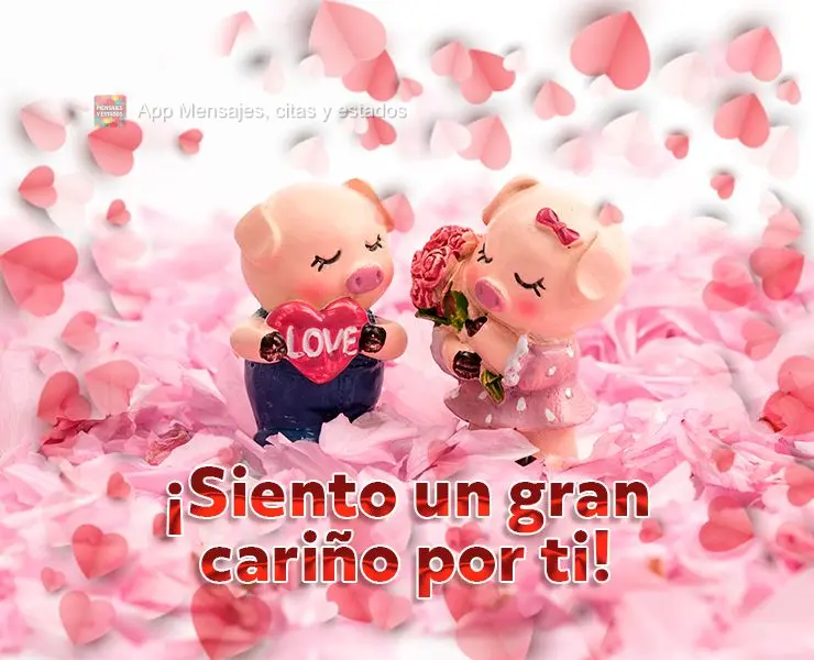 ¡Siento un gran cariño por ti!