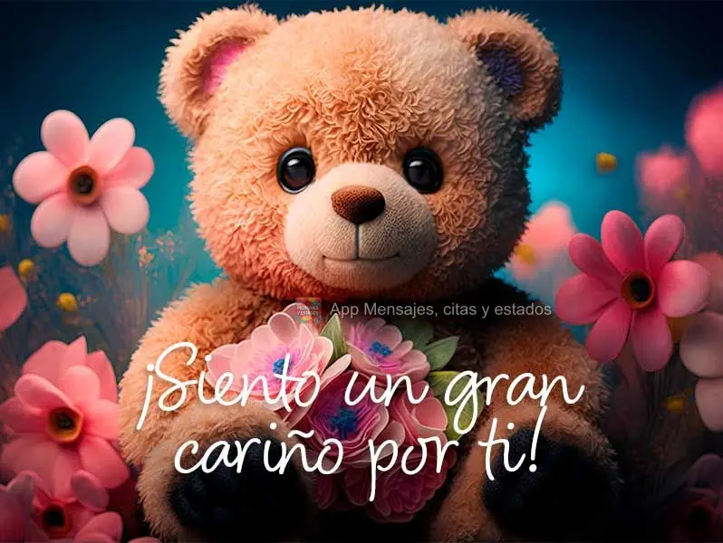 ¡Siento un gran cariño por ti!
