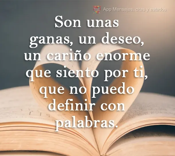 Son unas ganas, un deseo, un cariño enorme que siento por ti, que no puedo definir con palabras.
