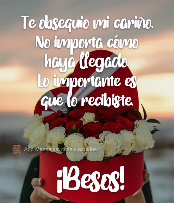 Te obsequio mi cariño. No importa cómo haya llegado. Lo importante es que lo recibiste. ¡Besos!