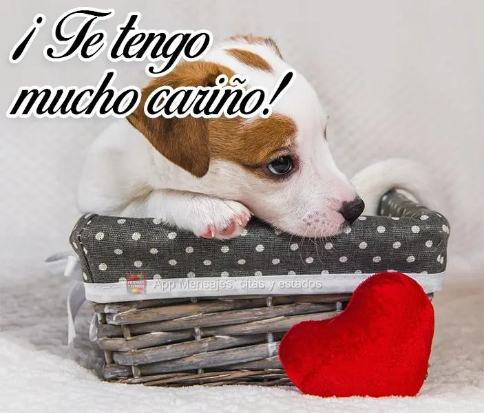 ¡Te tengo mucho cariño!
