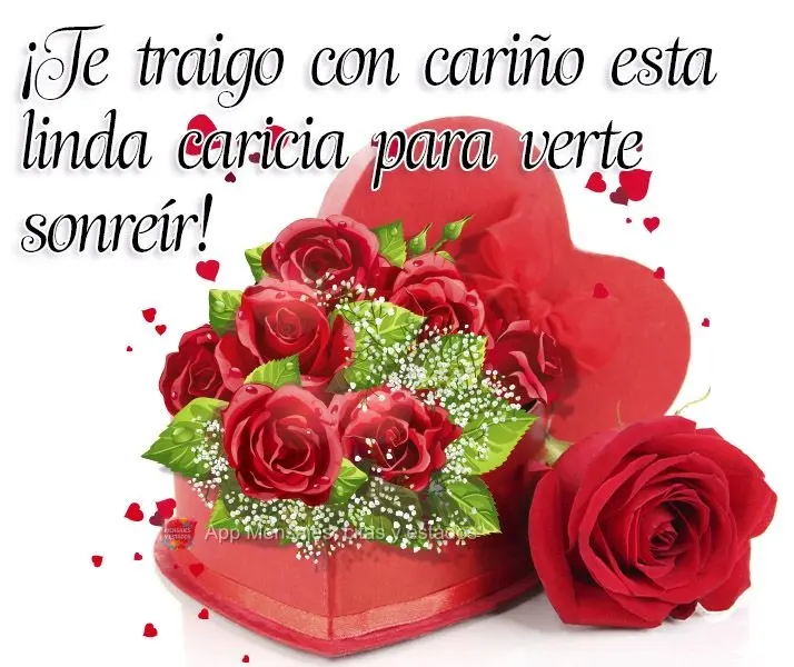 ¡Te traigo con cariño esta linda caricia para verte sonreír! 