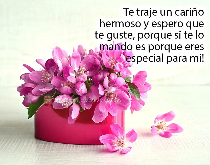 Te traje un cariño hermoso y espero que te guste, porque si te lo mando es porque eres especial para mi! 