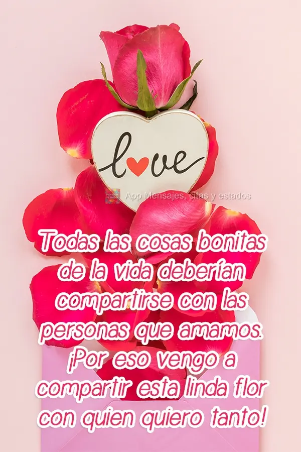 Todas las cosas bonitas de la vida deberían compartirse con las personas que amamos. ¡Por eso vengo a compartir esta linda flor con quien quiero tanto!...