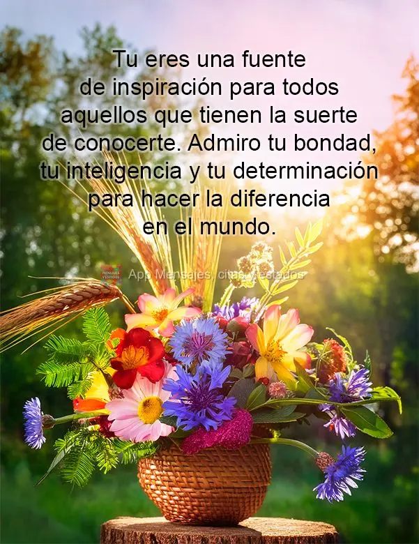 Tu eres una fuente de inspiración para todos aquellos que tienen la suerte de conocerte. Admiro tu bondad, tu inteligencia y tu determinación para hace...