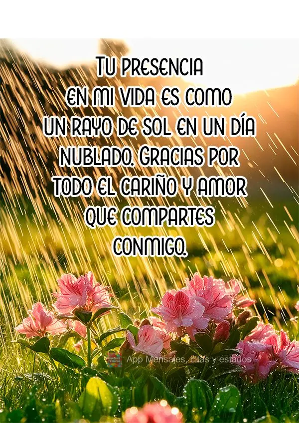 Tu presencia en mi vida es como un rayo de sol en un día nublado. Gracias por todo el cariño y amor que compartes conmigo.