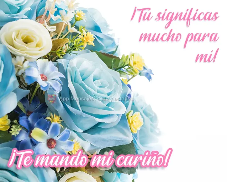 ¡Tú significas mucho para mí! ¡Te mando mi cariño!