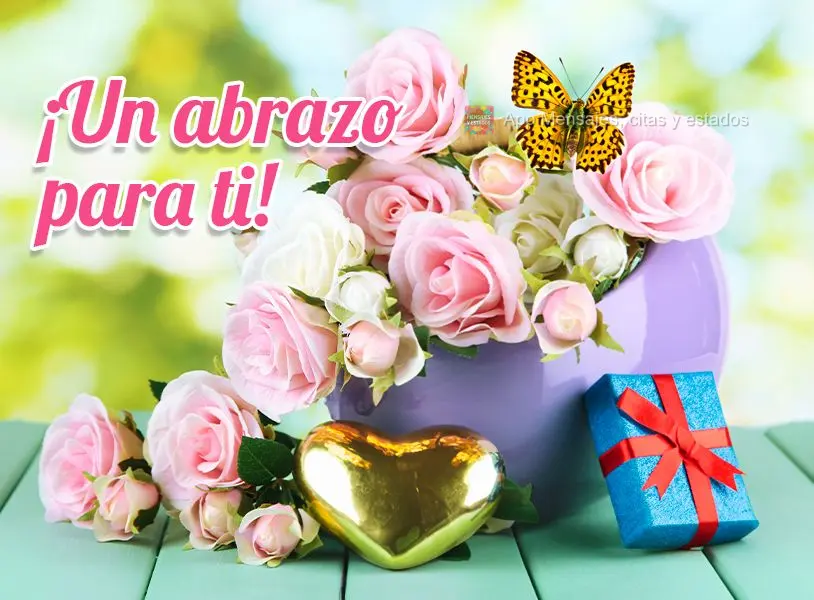 ¡Un abrazo para ti!