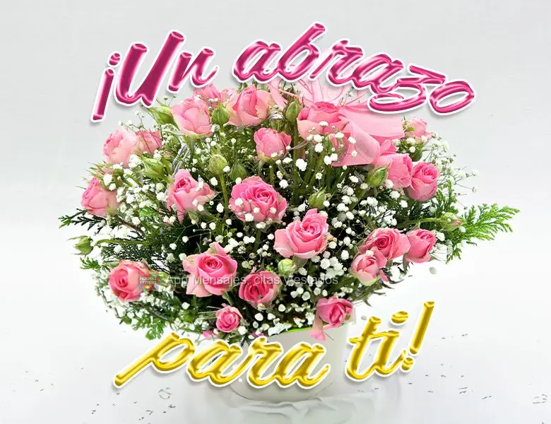 ¡Un abrazo para ti!
