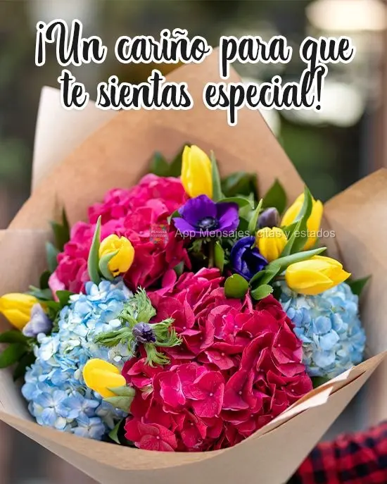 ¡Un cariño para que te sientas especial!