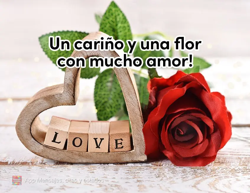 ¡Un cariño y una flor con mucho amor!