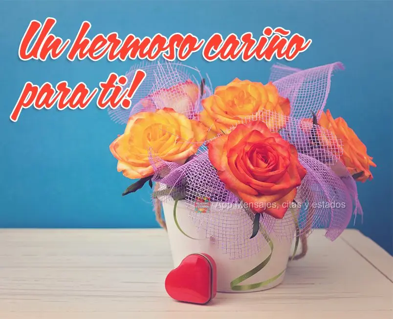 Un hermoso cariño para ti!