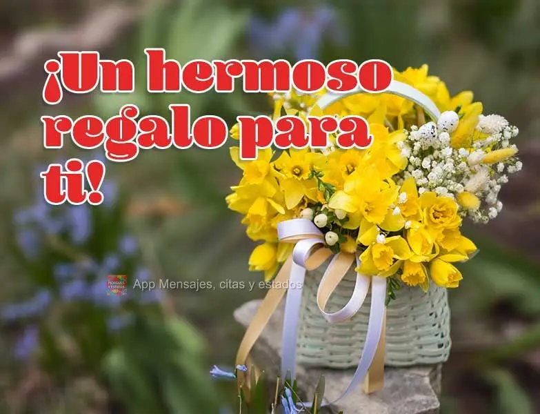 ¡Un hermoso regalo para ti!