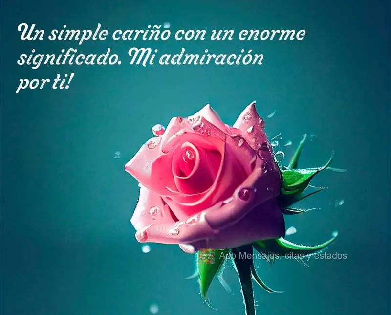 Un simple cariño con un enorme significado. Mi admiración por ti!