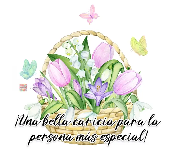 ¡Una bella caricia para la persona más especial!