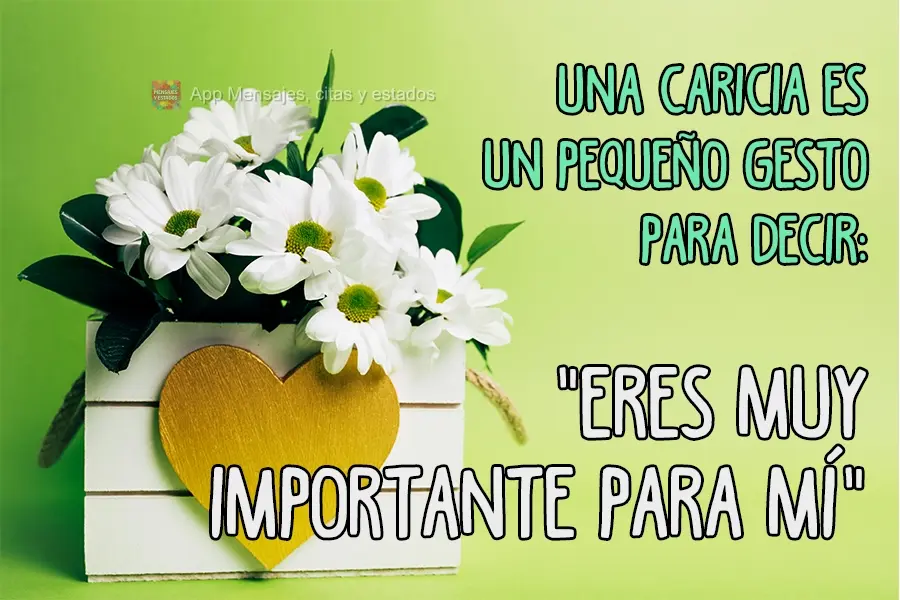 Una caricia es un pequeño gesto para decir: "Eres muy importante para mí".