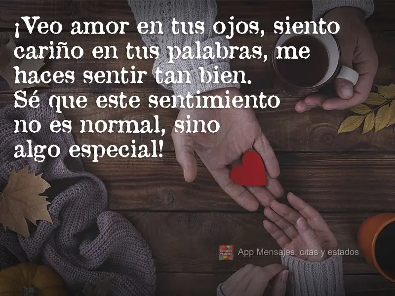 ¡Veo amor en tus ojos, siento cariño en tus palabras, me haces sentir tan bien. Sé que este sentimiento no es normal, sino algo especial!