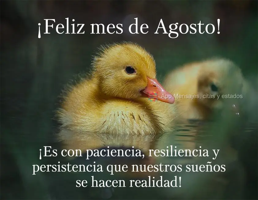 ¡Es con paciencia, resiliencia y persistencia que nuestros sueños se hacen realidad! ¡Feliz mes de agosto!