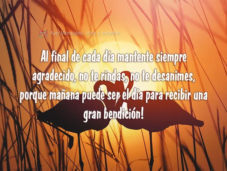 Al final de cada día mantente siempre agradecido, no te rindas, no te desanimes, porque mañana puede ser el día para recibir una gran bendición!