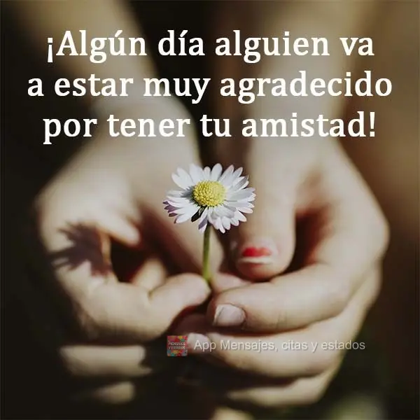 ¡Algún día alguien va a estar muy agradecido por tener tu amistad!