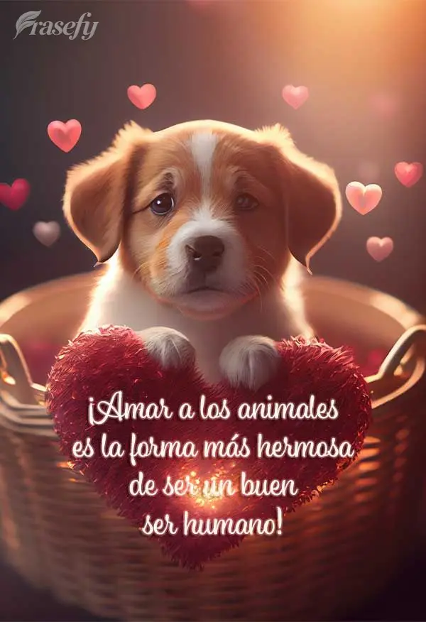 ¡Amar a los animales es la forma más hermosa de ser un buen ser humano!