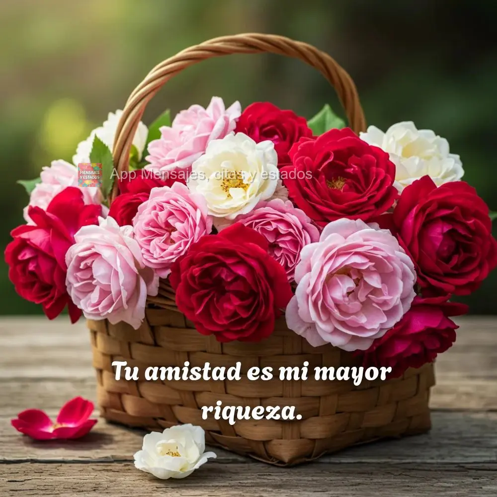 Tu amistad es mi mayor riqueza.