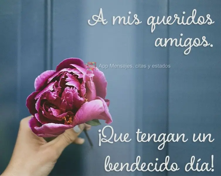 A mis queridos amigos. ¡Que tengan un bendecido día!