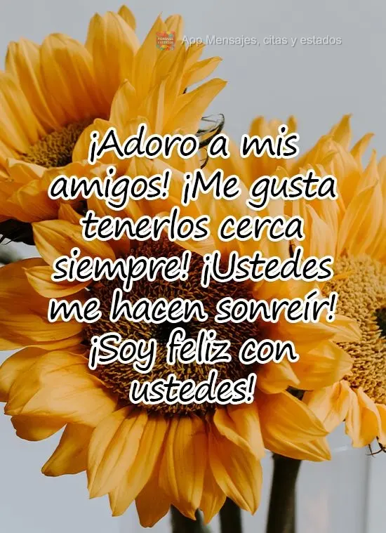 ¡Adoro a mis amigos! ¡Me gusta tenerlos cerca siempre! ¡Ustedes me hacen sonreír! ¡Soy feliz con ustedes!