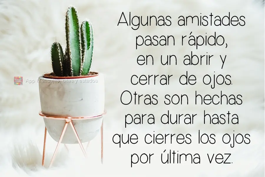 Algunas amistades pasan rápido, en un abrir y cerrar de ojos. Otras son hechas para durar hasta que cierres los ojos por última vez.