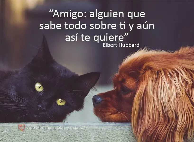 "Amigo: alguien que sabe todo sobre ti y aún así te quiere" Elbert Hubbard