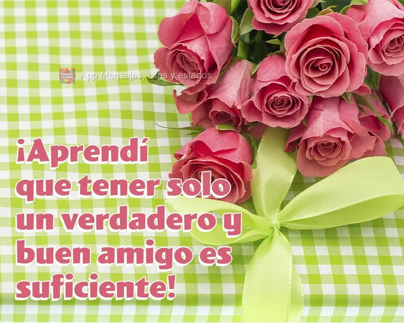 ¡Aprendí que tener solo un verdadero y buen amigo es suficiente!