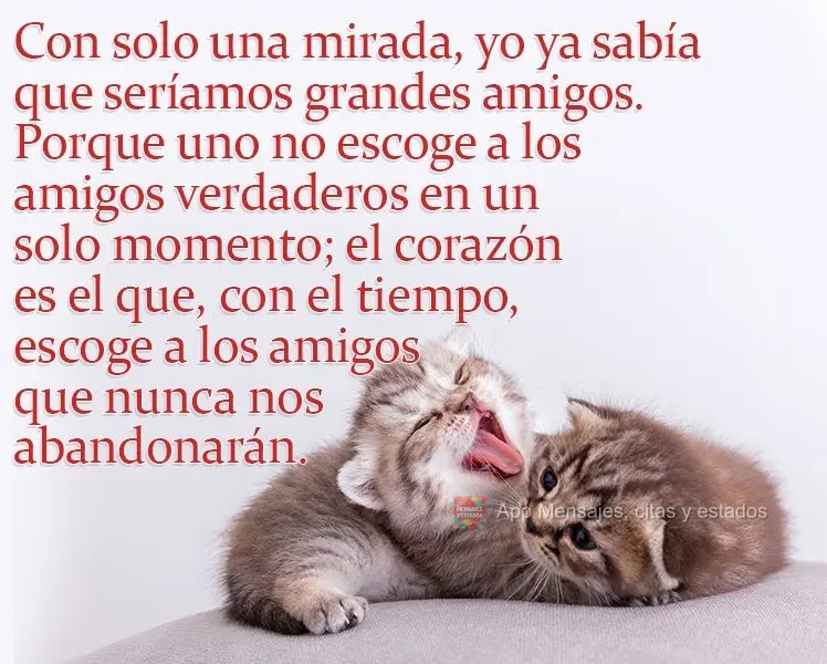 Con solo una mirada, yo ya sabía que seríamos grandes amigos. Porque uno no escoge a los amigos verdaderos en un solo momento; el corazón es el que, c...