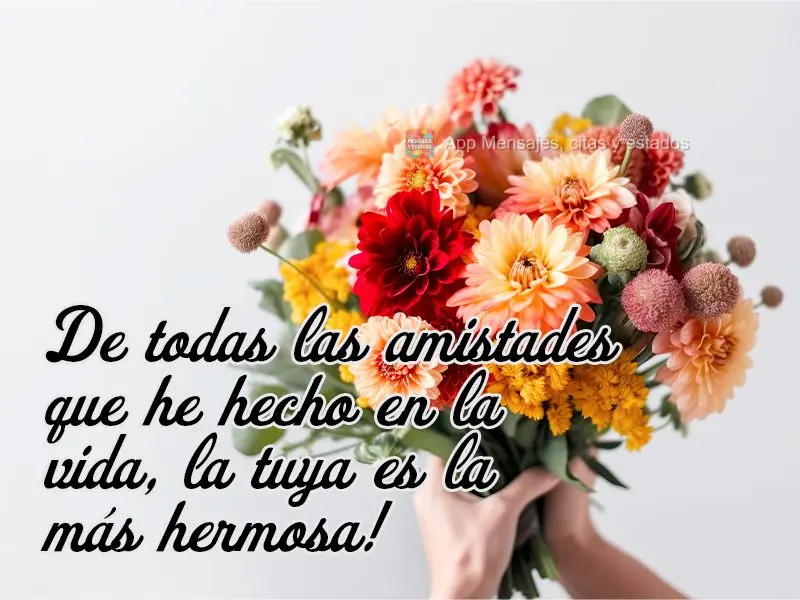 De todas las amistades que he hecho en la vida, la tuya es la más hermosa!